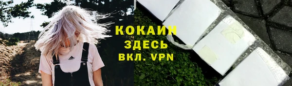 гидра Верхний Тагил