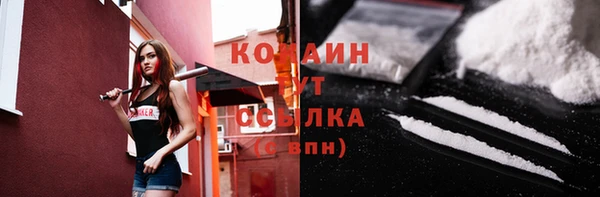 гидра Верхний Тагил
