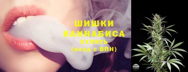 гидра Верхний Тагил