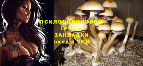 гидра Верхний Тагил