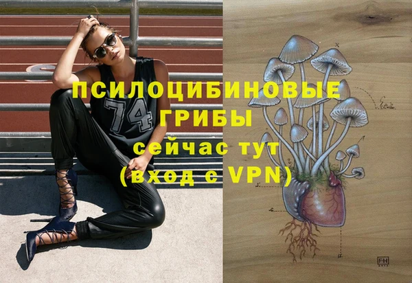 гидра Верхний Тагил