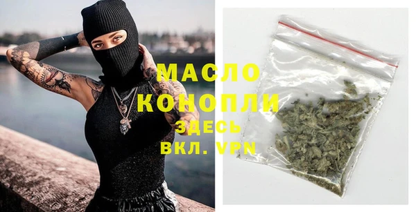 гидра Верхний Тагил