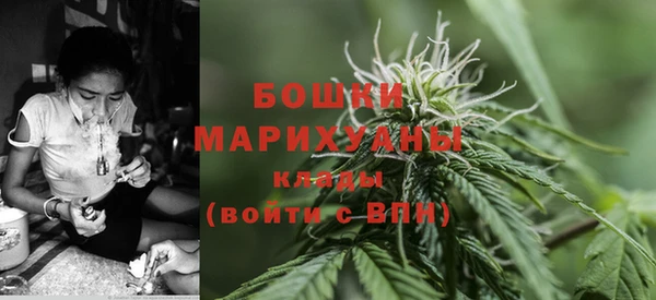 дурь Верея