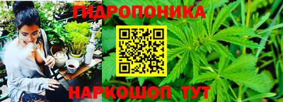 кокаин колумбия Гатчина