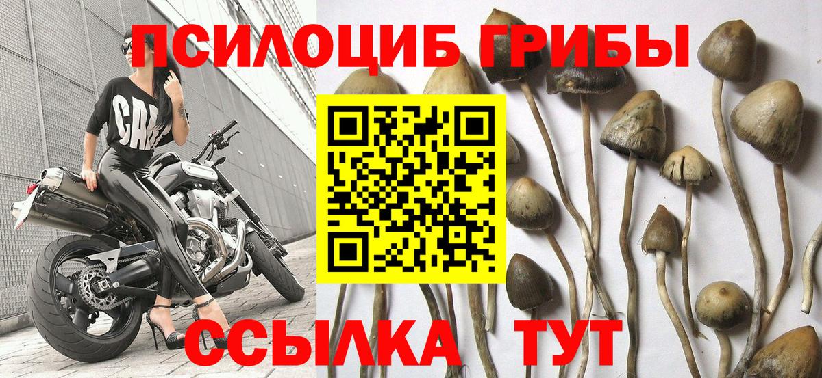 Галлюциногенные грибы мицелий  Вход с VPN  наркошоп  Жуковский 