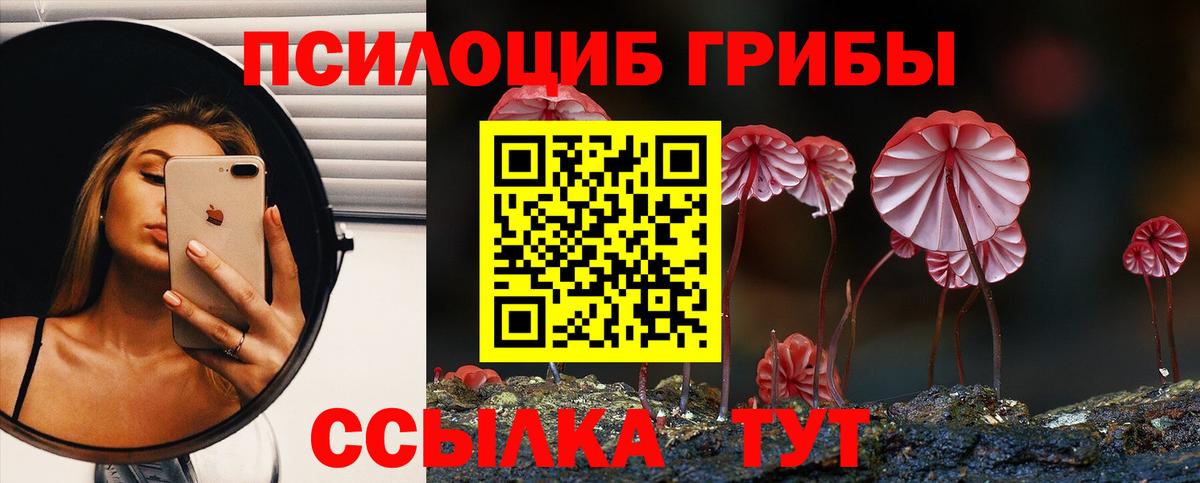 Псилоцибиновые грибы мицелий Жуковский