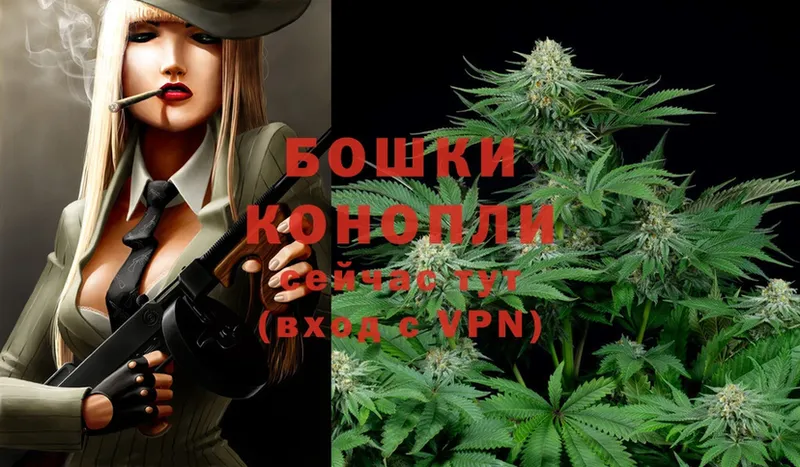 хочу наркоту  Жуковский  Шишки марихуана OG Kush 